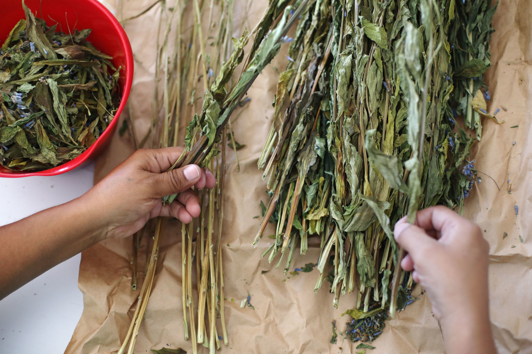 Shoshone Traditional Food